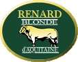 Renard Blonde Cattle